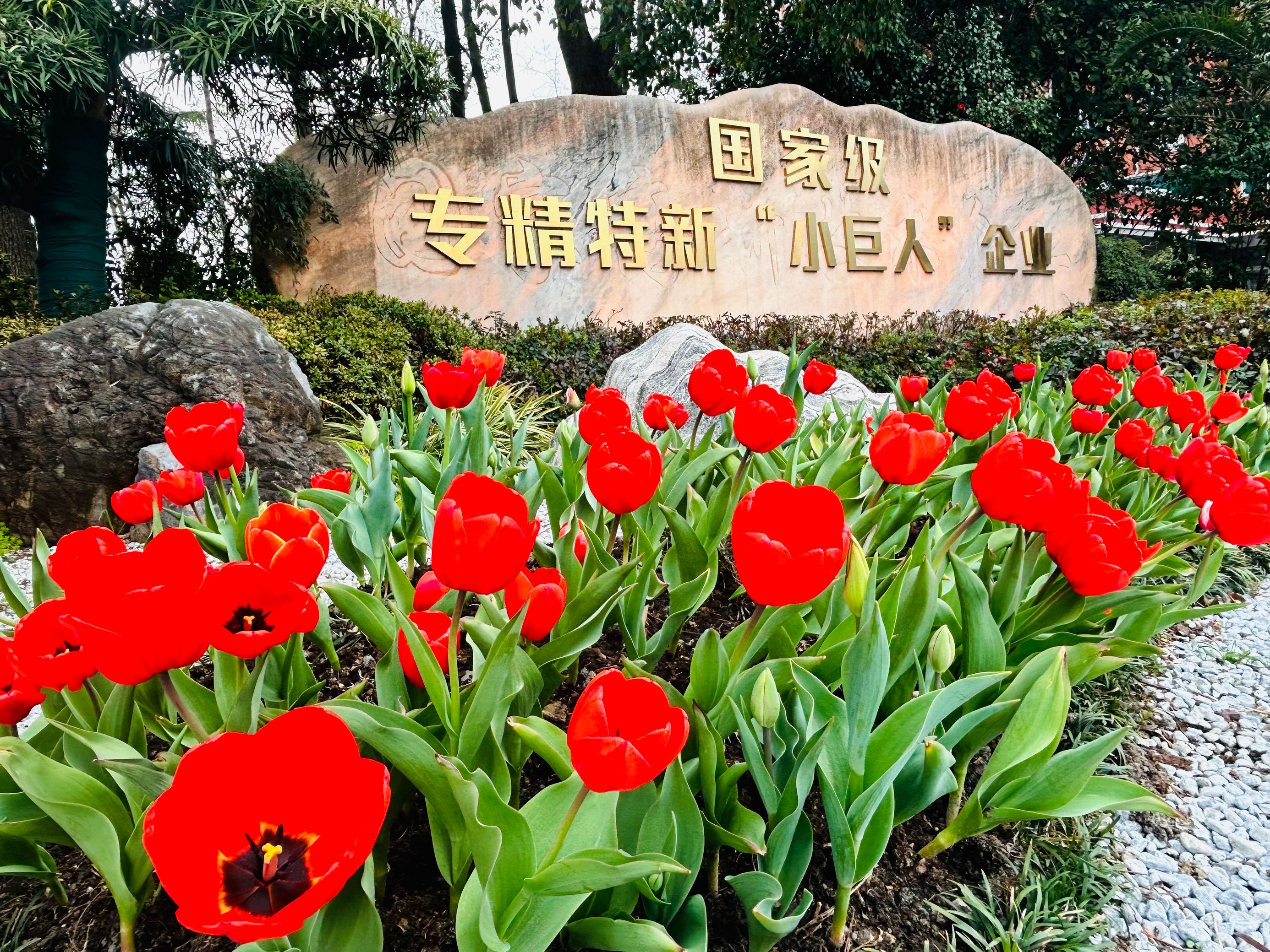 16.png